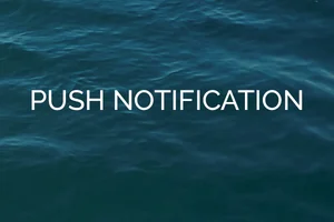 Push Notification